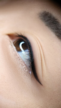Close-up of brown eye with permanent makeup and natural lash enhancement. Smooth skin texture, defined lashes, and detailed iris create a clean beauty look focused on precision, depth, and elegance.