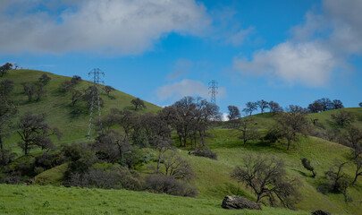 Naklejka premium Green hills in rural California with oak trees and high voltage power lines