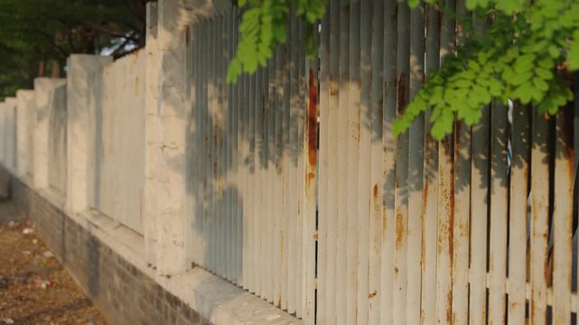 Rust stained wall with plants, urban decay texture background