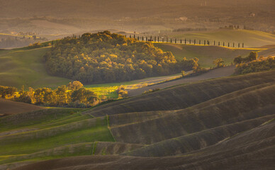 Naklejka premium Tuscan rolling hills at sunset with cypress trees, Tuscany, Italy.