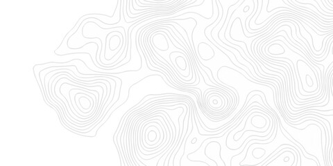 Topographic seamless map pattern with contour lines. Abstract geographic elevation design, lines sea map modern white background. © coal digger