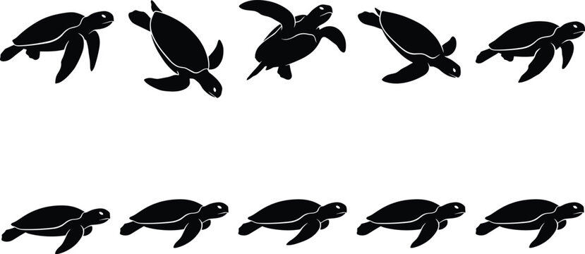 Set of sea turtle silhouettes including swimming hawksbill and green turtles for marine life conservation ocean wildlife and tropical nature designs