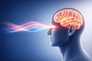 Fototapeta premium Mental Vision: An artistic rendering of a human head, overlaid with a digital wireframe, the glowing brain, and emanating radiant energy streams.