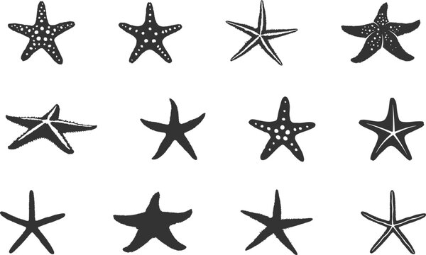 Starfish silhouette set, Starfish icon, Starfish clipart, Tropical starfish silhouette, Starfish vector bundle -V02.