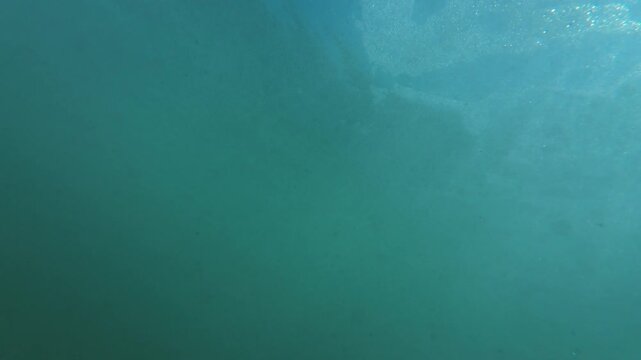 Slow Motion x4 Filmed at 120fps Underwater Bottom of Ocean