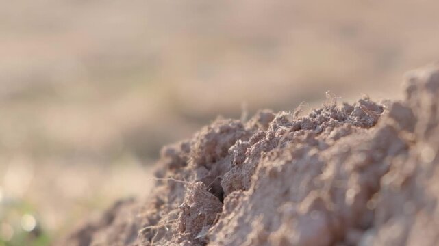 Macro shot of brown soil texture with soft bokeh