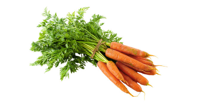 Fresh baby carrots with green tops isolated PNG, bunch of orange root vegetables tied with twine on transparent background