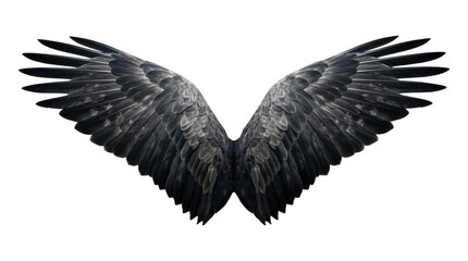 Fototapeta premium Impressive dark feathered wings elegantly spread, symbolizing freedom, strength, and flight, perfect for various design and conceptual projects.