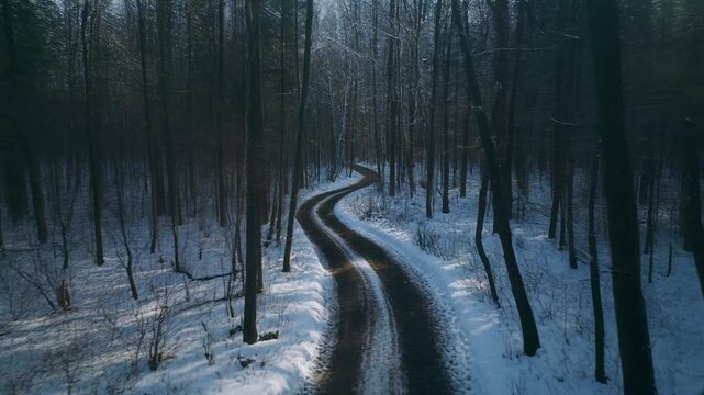 Snow Covered Forest Path Winding Through Trees.