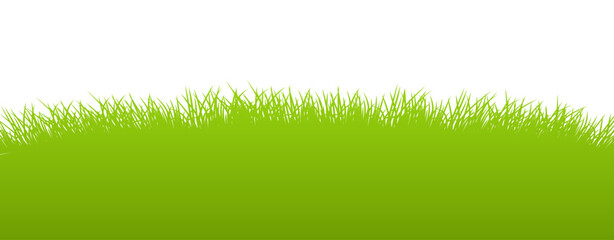 Fototapeta premium Vibrant green grass border with a clean white background, ideal for spring and nature-themed designs.