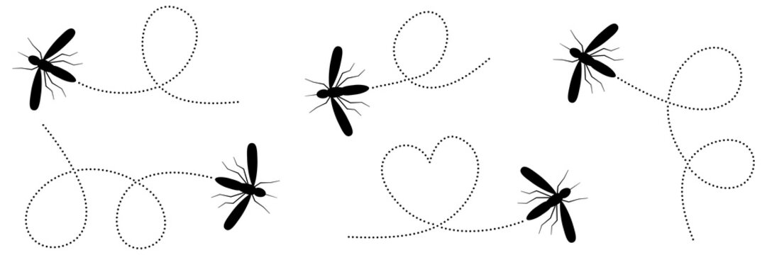 Mosquito silhouette icon set with dotted flight path. Vector illustration of dengue and malaria insects isolated on white background.