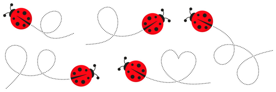 Adorable ladybug flying along dotted trail collection. Cute red insect with motion path set. Vector illustration isolated on white for summer design.
