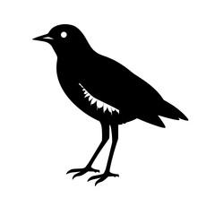 Obraz premium Black Bird Silhouette: A minimalist black silhouette of a bird, showcasing its elegant form and simple beauty, perfect for use in various design projects. 