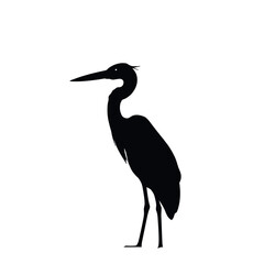 Obraz premium Elegant Silhouette: A stark silhouette of a heron, standing tall and serene, captures the grace of this avian marvel.