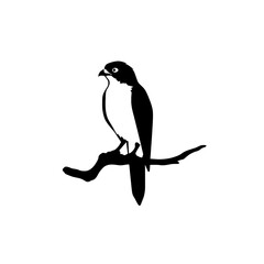 Fototapeta premium Silhouette Bird on a Branch: A minimalist silhouette of a bird perches gracefully on a sturdy branch, exuding a sense of calm and the beauty of nature.