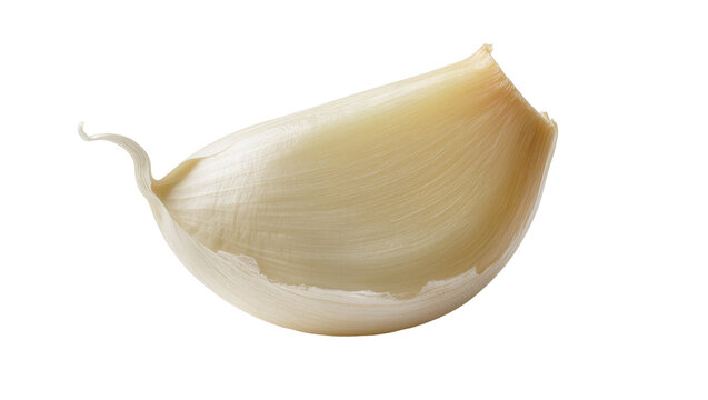 Fresh single peeled garlic clove isolated, a pungent culinary ingredient for cooking and seasoning, ready to use PNG
