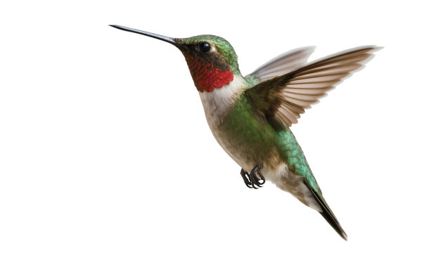 Vibrant Ruby-throated Hummingbird in flight, with iridescent green and red plumage, isolated PNG on transparent background, a symbol of agility and beauty