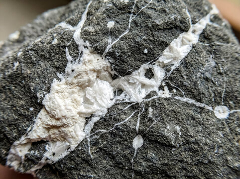 White dickite clay aggregates fill narrow fractures within a dark fine grained sedimentary rock matrix.