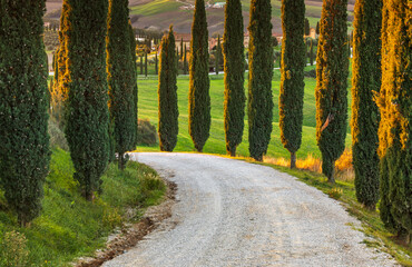 Naklejka premium Cypress tree lined gravel road through rolling Tuscany hills, Italy.