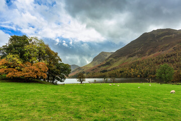 Naklejka premium Beautiful autumn landscape of England. United Kingdom