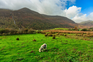 Naklejka premium Beautiful autumn landscape of England. United Kingdom
