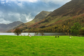 Naklejka premium Beautiful autumn landscape of England. United Kingdom