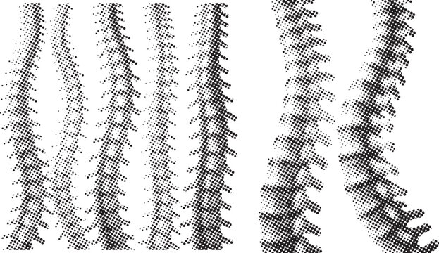 Abstract vertical pattern of black dots forming textured rows and lines isolated on white