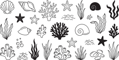 Hand drawn illustration of coral reef and seaweed in an aquarium setting perfect for marine biology oceanography or underwater themed designs © Meizan 