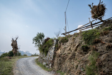 Fototapeta premium Landscape view of a road passing through terrace farming slopes in Sainji village near Mussoorie, Uttarakhand, with pea farms across stepped hills in winter.