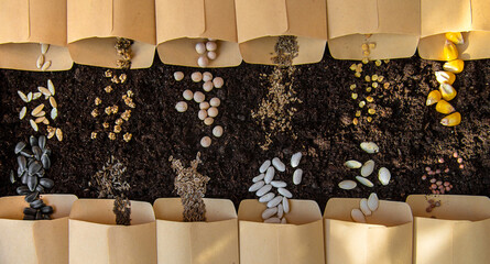 Naklejka premium Seeds in bags on the soil. Selective focus.