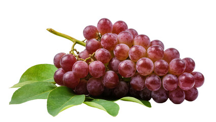 Fototapeta premium Fresh ripe red grapes bunch with vibrant green leaves, isolated on transparent background, healthy fruit snack for culinary and design PNG