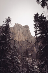 Formacja skalna w górach zimą © Krystian