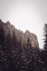 Formacja skalna w górach zimą © Krystian