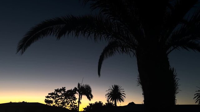 Beautiful sunset view from a resort balcony with silhouetted palm trees and warm orange and purple sky, creating a tranquil tropical evening atmosphere in New Zealand.