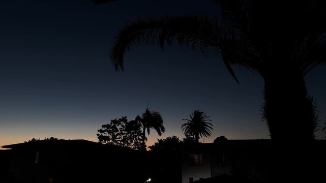 Beautiful sunset view from a resort balcony with silhouetted palm trees and warm orange and purple sky, creating a tranquil tropical evening atmosphere in New Zealand.