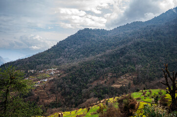 Fototapeta premium Landscape of Triyuginarayan village in the Garhwal Himalayas, with colorful houses, terrace farms, and forests of pine, oak, rhododendron, and deodar under misty mountains and monsoon clouds.