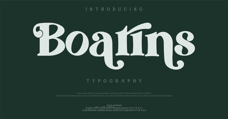 Introducing Boarins Typography Font Style © Font