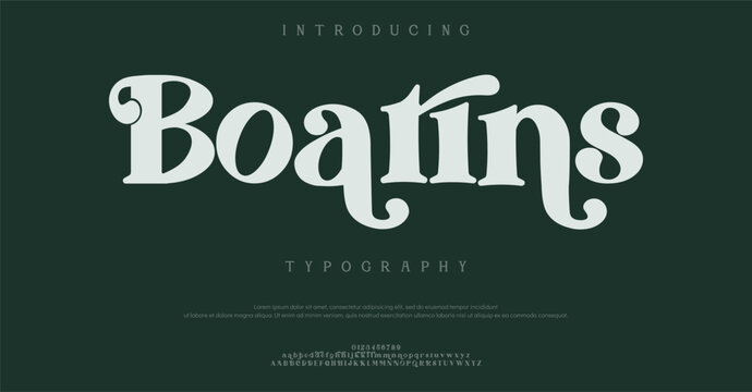 Introducing Boarins Typography Font Style