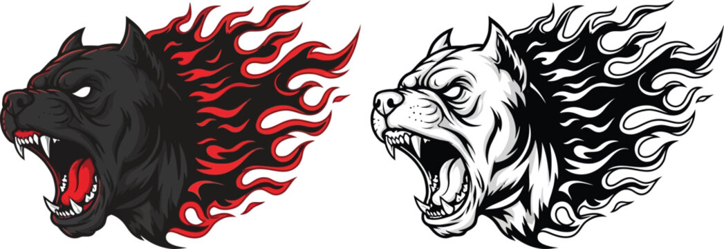 Aggressive pit bull dog head with fiery flames vector illustration in color and black and white styles.