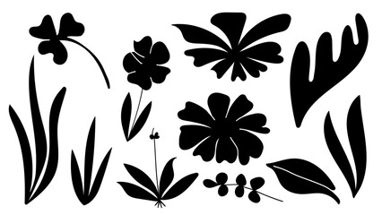 Obraz premium Silhouette Botanical Plants and Flowers Collection.Vector Illustration