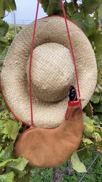Leather handmade wineskin and straw hat on vineyard background in Tenerife, Canary Islands, Spain. Wine harvest season concept,4K vertical video.