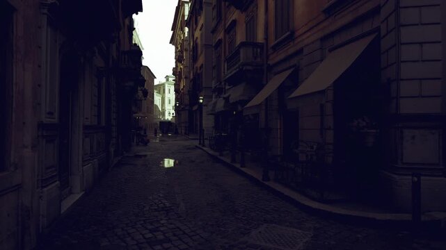 wet cobblestone alley at dusk, narrow lane lined with tall brick facades, scattered puddles reflecting muted sky, lantern glow hinting at hidden cafs,
