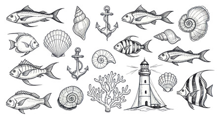 Hand-drawn sketch collection of various marine life and nautical elements. © Wita