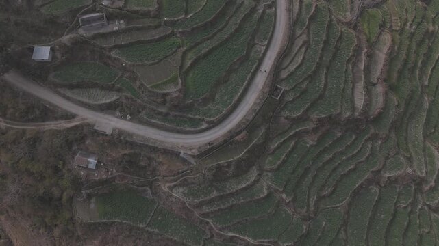 Top-down aerial view of Sainji corn village near Mussoorie, Uttarakhand, showing terrace farms and village houses forming abstract patterns on misty Himalayan slopes in winter.