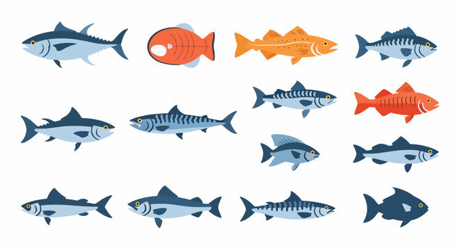 Assorted Sea Life Collection Showing Diverse Aquatic Animals Fish Varied Species in Multiple Colors Depicting Marine Biodiversity and Underwater Ecosystems with Distinct Fin and Scale Patterns