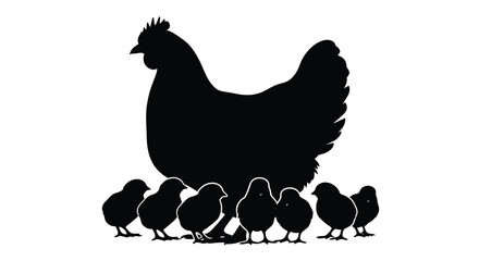 A striking black silhouette depicts a mother hen sheltering and protecting her small fluffy chicks nearby high quality professional © Tushar02