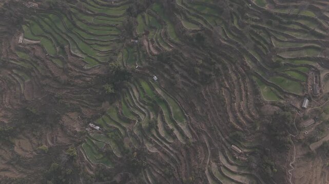 Top-down aerial view of Sainji corn village near Mussoorie, Uttarakhand, showing terrace farms and village houses forming abstract patterns on misty Himalayan slopes in winter.