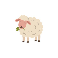Obraz premium Cute fluffy sheep eating green clover leaf flat illustration scandinavian style
