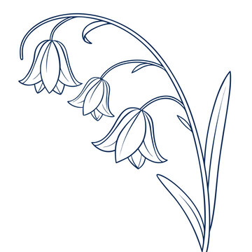Bluebell Flower Monoline Logo Delicate Curved Lines vector illustration