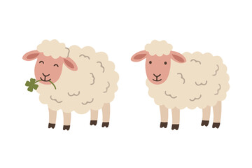 Obraz premium Set of cute white sheep eating clover and standing flat illustration scandinavian style